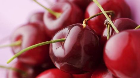 Exquisitas redondeces