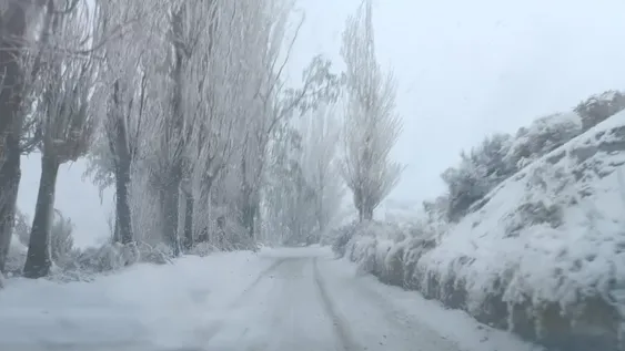 Regantes quieren bajar a la mitad este mes los días de corte de agua