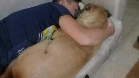 Una perra murió por la pirotecnia y su historia se volvió viral
