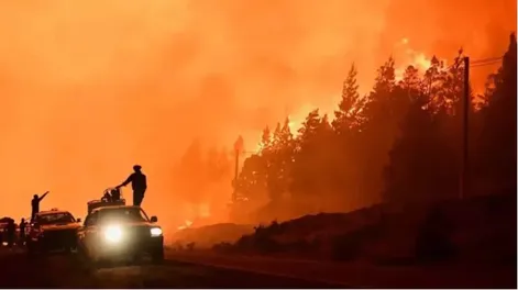 Más de 40 mil hectáreas fueron arrasadas por el fuego.