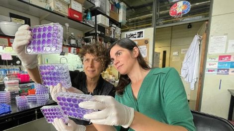 Un avance clave de argentinas para ponerle freno al dengue