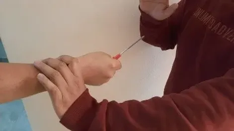 Imagen ilustrativa.-