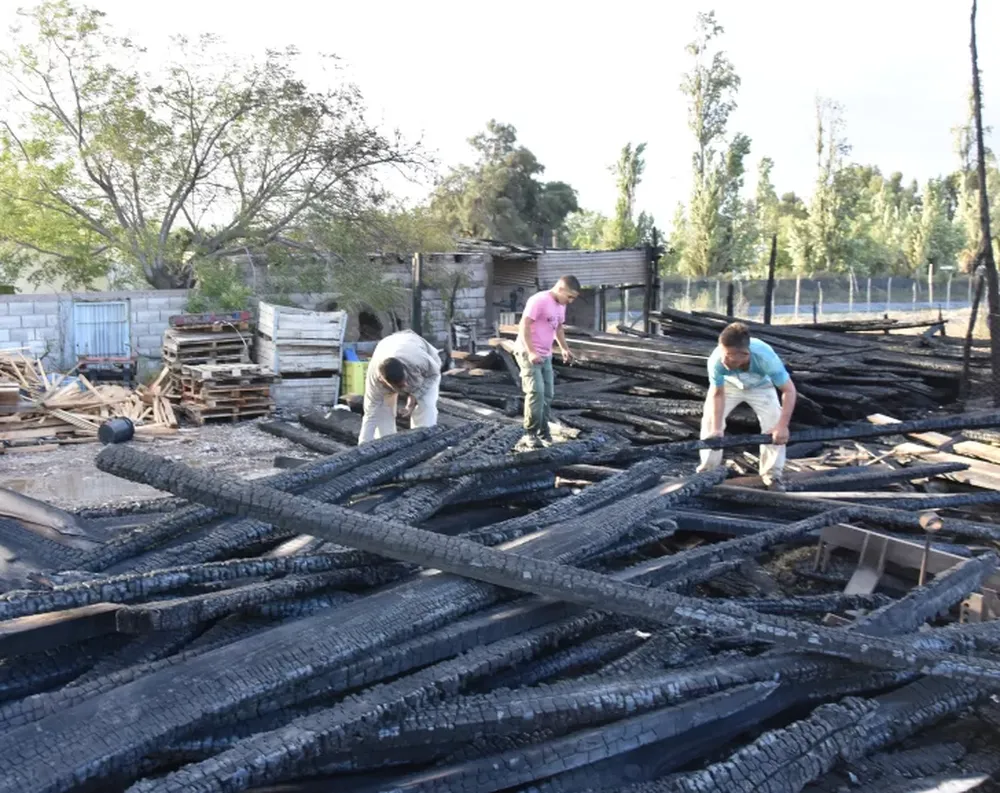 Viento y fuego, cóctel peligroso en una maderera