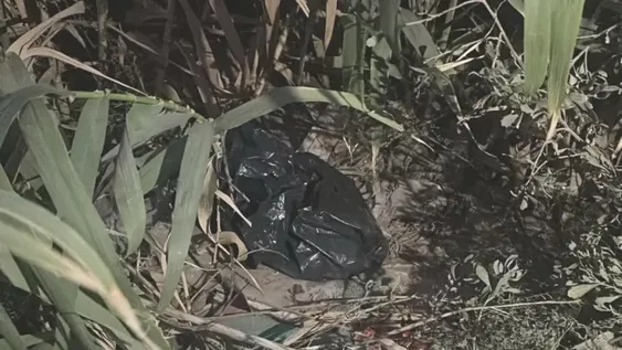 Beba asesinada: no pueden dar con la mujer homicida, creen que ocultó todo su embarazo