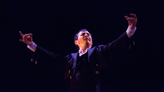 El bailaor flamenco David Pérez visitará la provincia por primera vez, para deleitar a los amantes del género, público, bailaores y estudiantes.&nbsp;