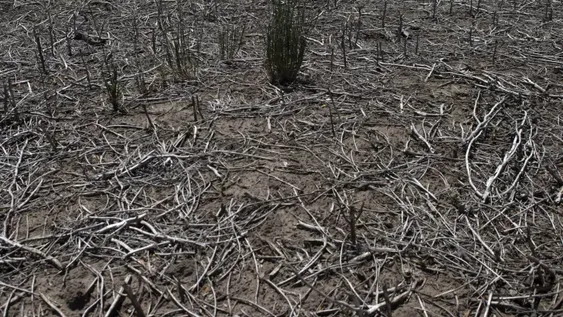 Fin de ‘La Niña’, el fenómeno que desató la sequía severa en el país