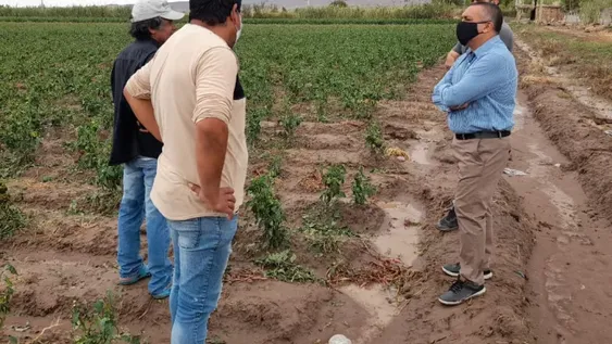 Para pedir ayuda a Nación avanzan con la emergencia agropecuaria