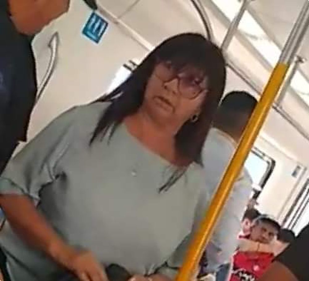 Fuerte discusión en el tren Sarmiento por una mujer que maltrató a un perro