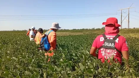 Con drones y perros, amplían la búsqueda de Lian y apuntan a una persona que “conoce la zona”