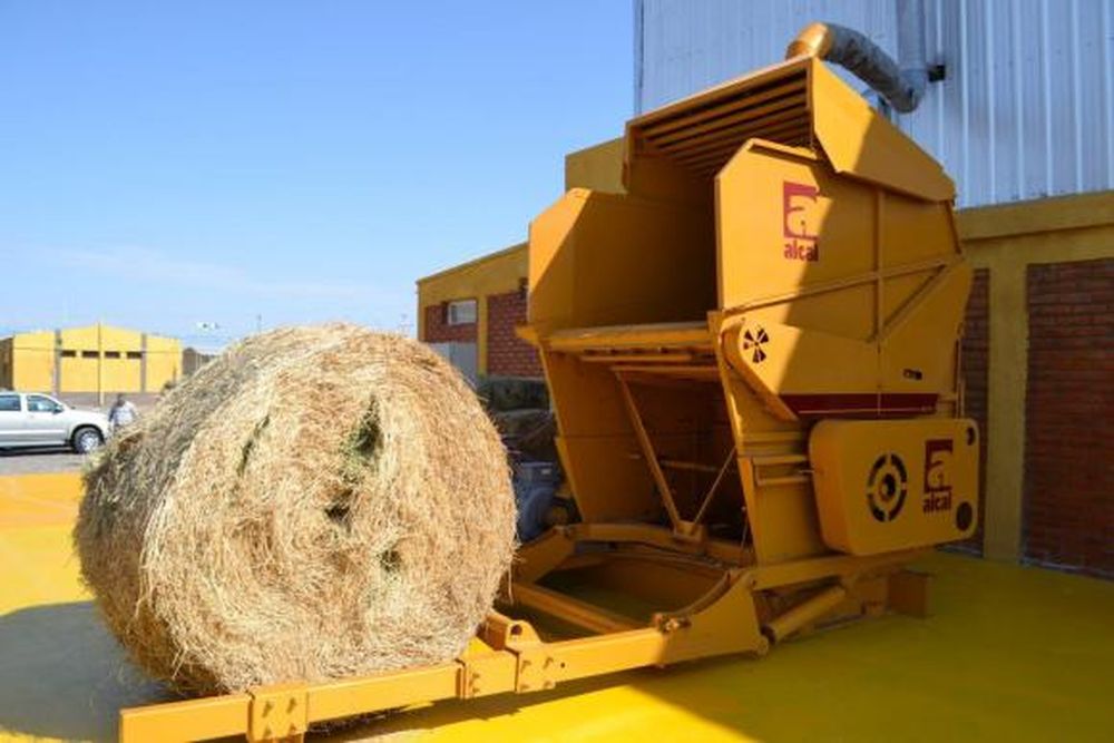 “Debemos apostar a alimentar grandes naciones como China”