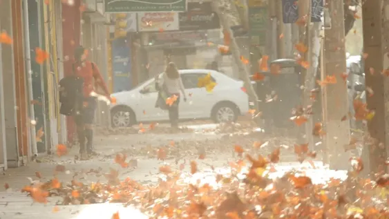 Emiten alerta por viento Zonda