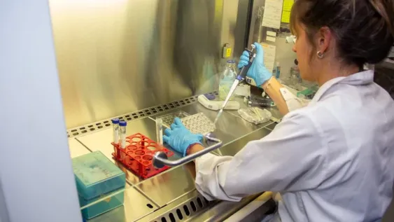 Una universidad argentina avanza con estudios de fase 1 de una vacuna contra el coronavirus