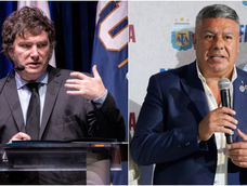 javier milei: no tengo contacto con tapia, hay cosas en el manejo de la afa que no me gustaron
