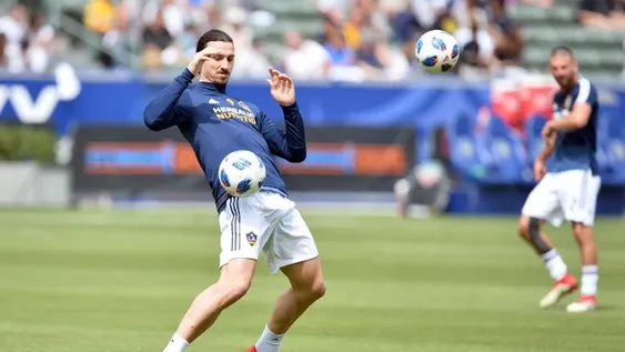 El técnico de Suecia no llevará a Zlatan al Mundial