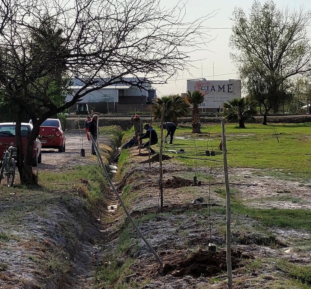 El municipio de Sarmiento realiza tareas de reforestación en las diferentes localidades del departamento.