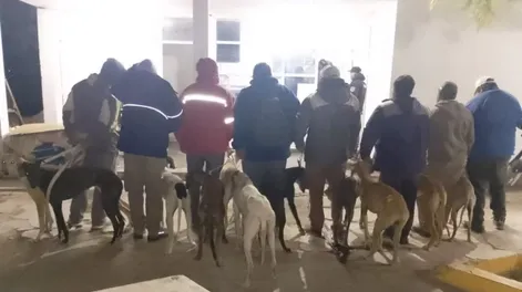 Caza ilegal: durante un operativo especial, detuvieron a 9 personas y rescataron a 14 perros en Albardón