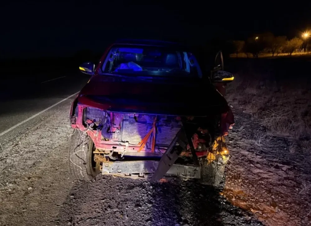 Cabras sueltas en El Encón: una camioneta las chocó, terminó destrozada y su conductor ileso