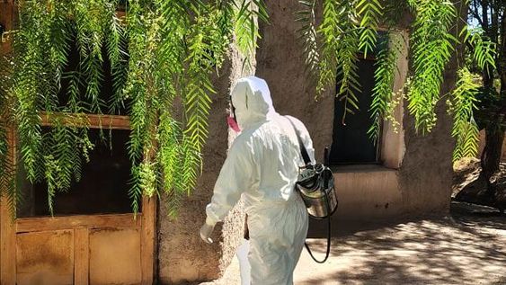 En Calingasta comenzaron los operativos barriales de fumigación para eliminar las garrapatas.