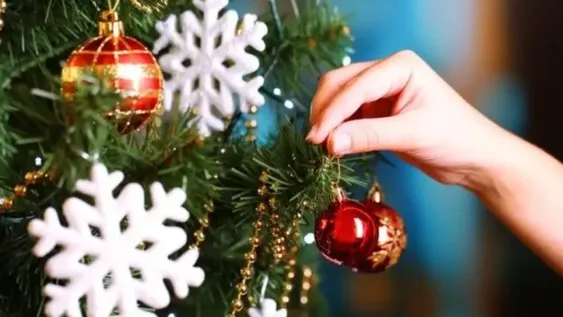 ¿Por qué armamos el arbolito cada 8 de diciembre?