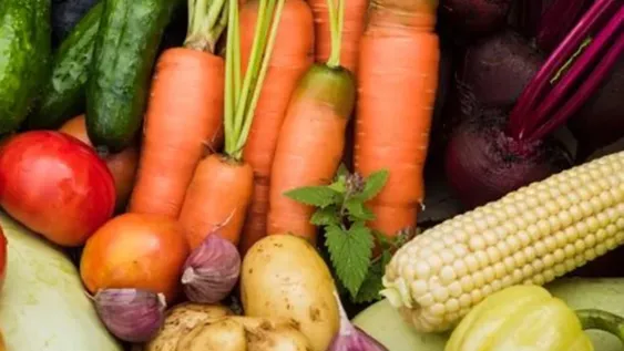 Las exportaciones sanjuaninas en 2020 registraron su peor marca en 12 años