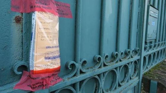 ¡Con la cola llena de arena! Floppy Tesouro se despidió de sus vacaciones en la playa