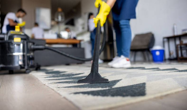 Aumento de salario de empleadas domésticas.