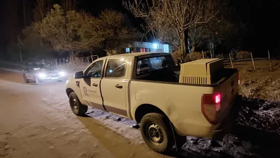 Una mujer murió después de ser atacada por dos perros en Mendoza