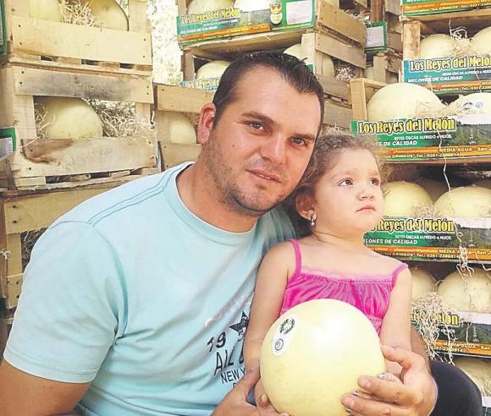 Melón de Media Agua-San Juan: vuelve su reinado en Argentina