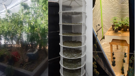 Polémica con un hallazgo de droga en Caucete.&nbsp;