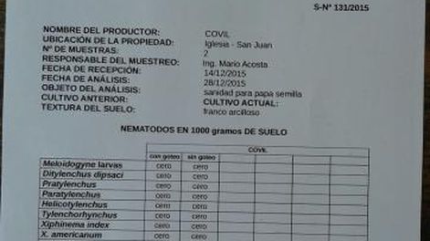 Los valles cordilleranos y la oportunidad para hacer papa