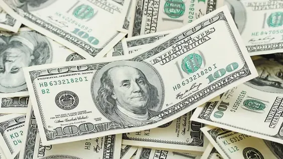 Sin la presencia del Banco Central esta semana, el dólar cerró estable a $20,51