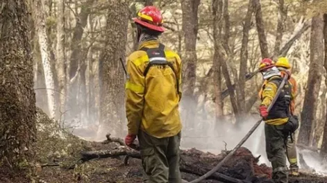 Alerta en Chubut: se reactivaron los incendios forestales por los vientos y las altas temperaturas