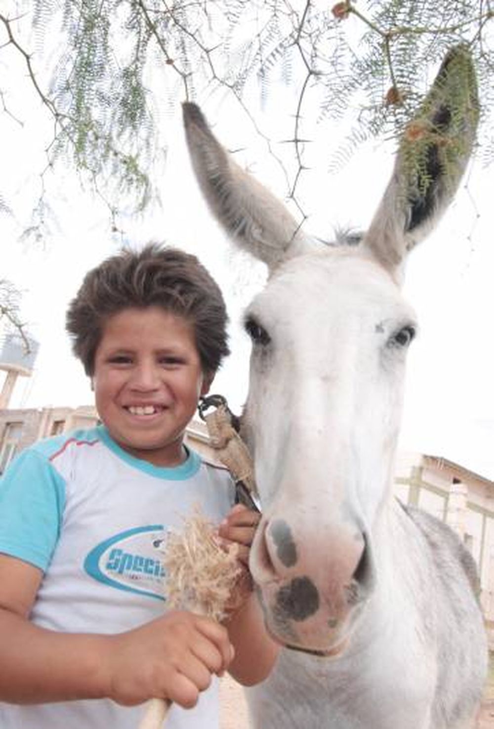 Deseos convertidos en regalos