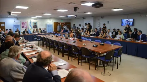 Diputados podría incluir el fallo de las elecciones como causal de juicio político a la Corte