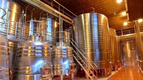 San Juan llega a 777.173 hectolitros