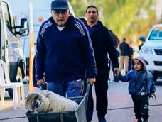 garrafa hogar en san juan: conoce el cronograma y los precios para la primera semana de septiembre