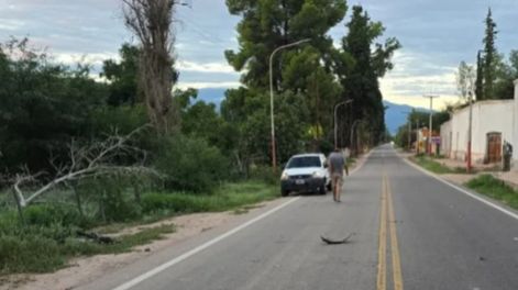 Murió un ciclista atropellado en Ruta 40: el conductor había huido y dio positivo de alcohol