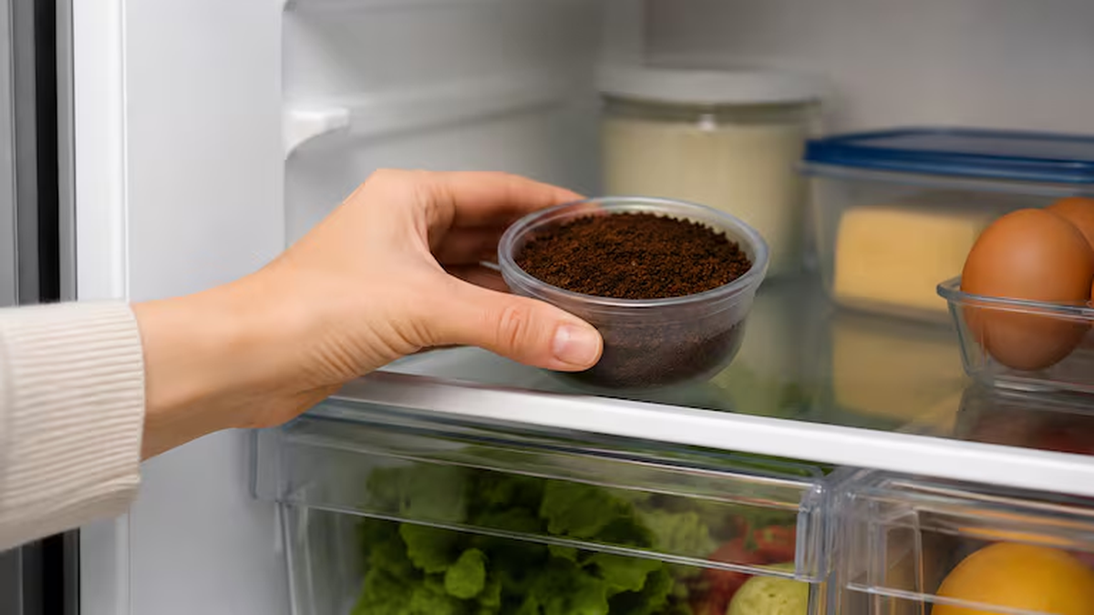 El truco del café molido para neutralizar el mal olor de la heladera para siempre