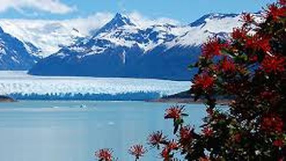 Santa Cruz: abrirán los restaurantes