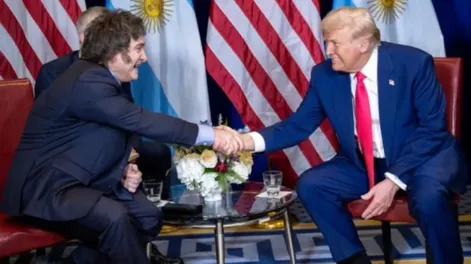 Milei se abstuvo de votar a favor de Ucrania en la ONU para evitar incomodar a Trump