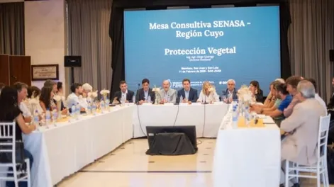 La Mesa Consultiva Regional del SENASA sesionó en San Juan y confirmó el regreso del empaque de uva en fresco bajo parral