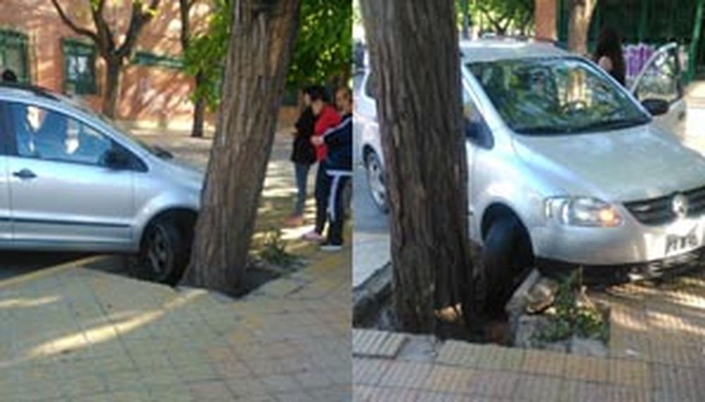 Por esquivar un auto terminó chocando contra un árbol
