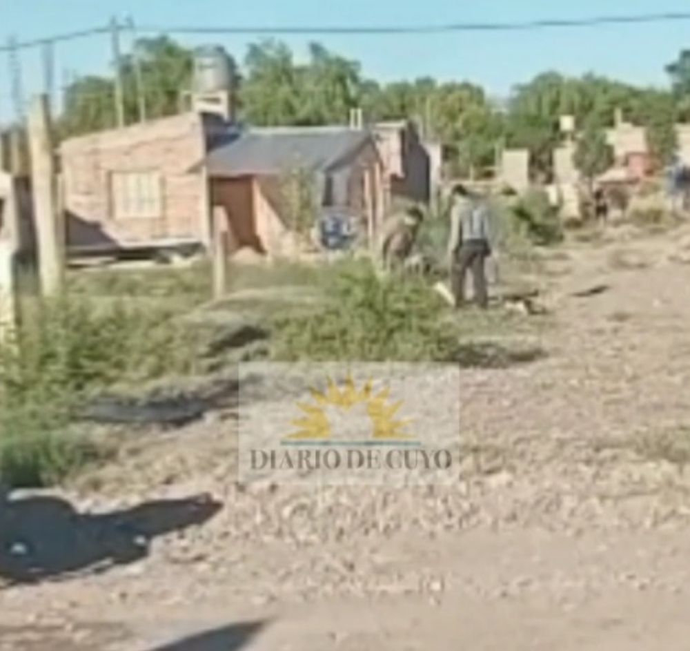 [VIDEO ] Ladrón fue cercado por vecinos que lo golpearon una y otra vez: los alaridos pidiendo clemencia