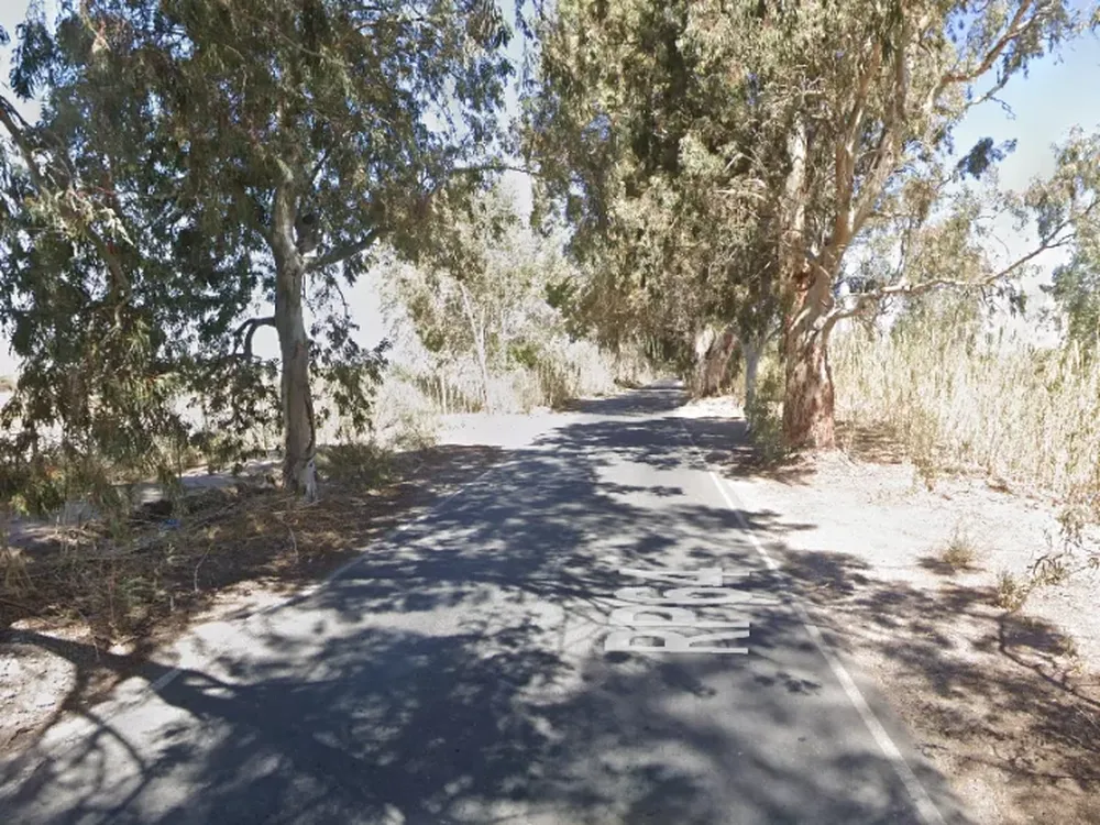 Dos hombres y una mujer sufrieron serias heridas tras chocar en auto contra un árbol