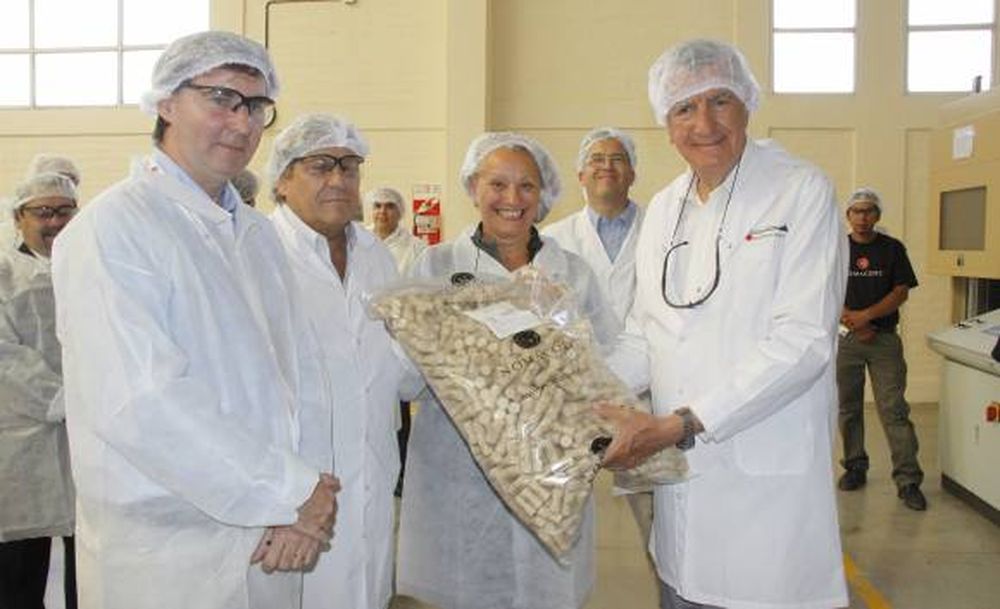 Importación: funcionaria K  dijo que “no faltó insumos”