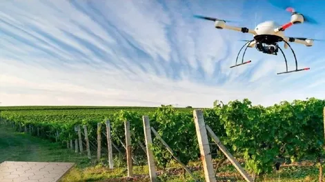 Los nuevos desafíos de los ingenieros agrónomos 2022