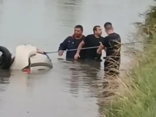 Bomberos intentan rescatar el auto. Bomberos intentan rescatar el auto.