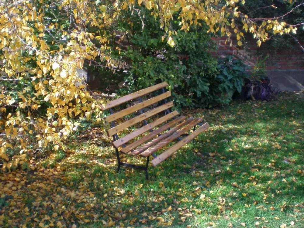 Cuidados del jardín en invierno.