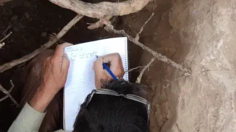 SISINTA: Información pública disponible sobre los suelos