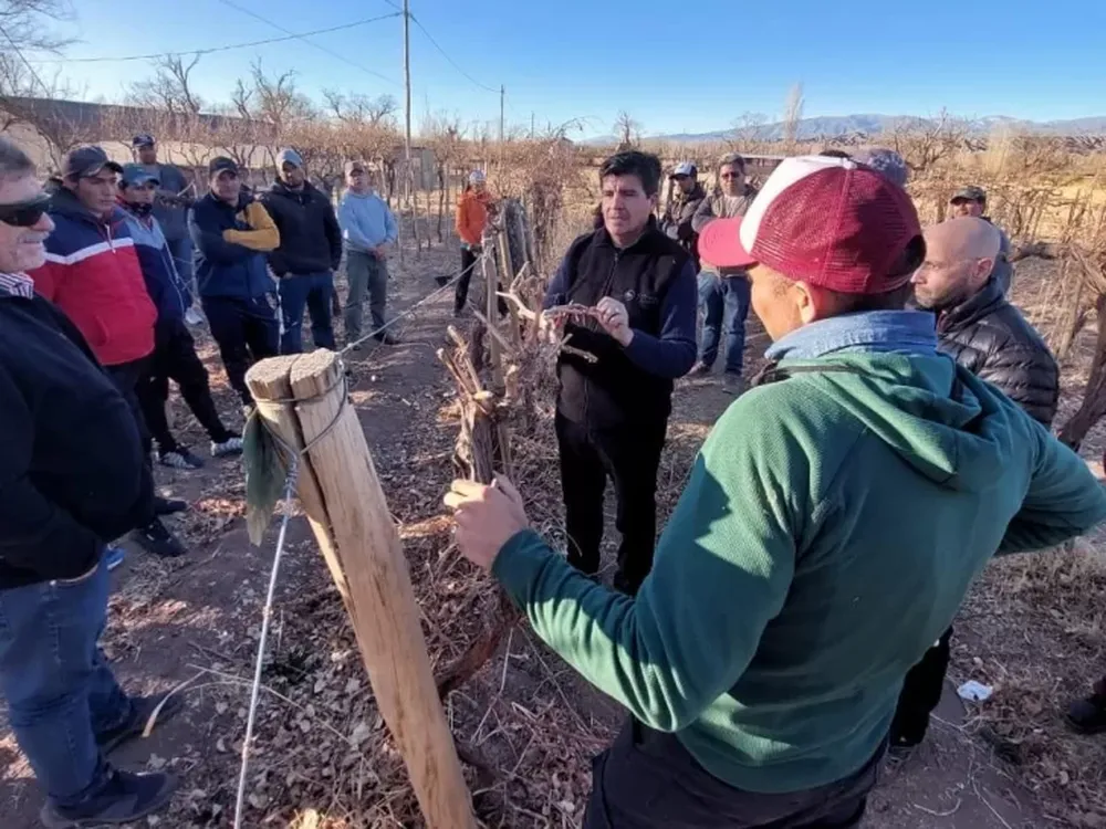 En Calingasta los podadores se formaron con el INV